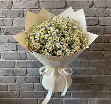Букет цветов из:  Ромашки в Песчаном