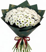 Букет цветов из:  Хризантемы #REPLACE_PRED# Песчаном