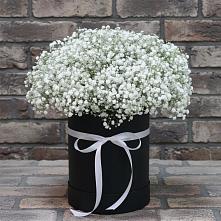Цветочная композиция из Гипсофила в шляпной коробке в Песчаном