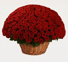 Премиум букет из: Розы в Песчаном